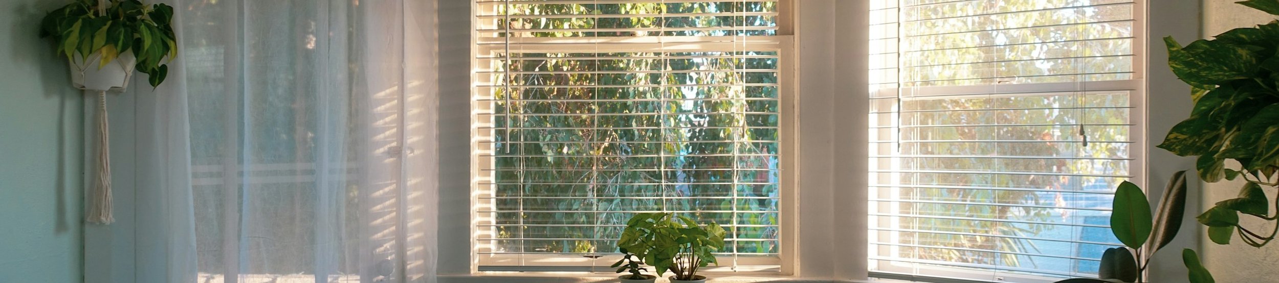 custom blinds and curtains in a sunlit window